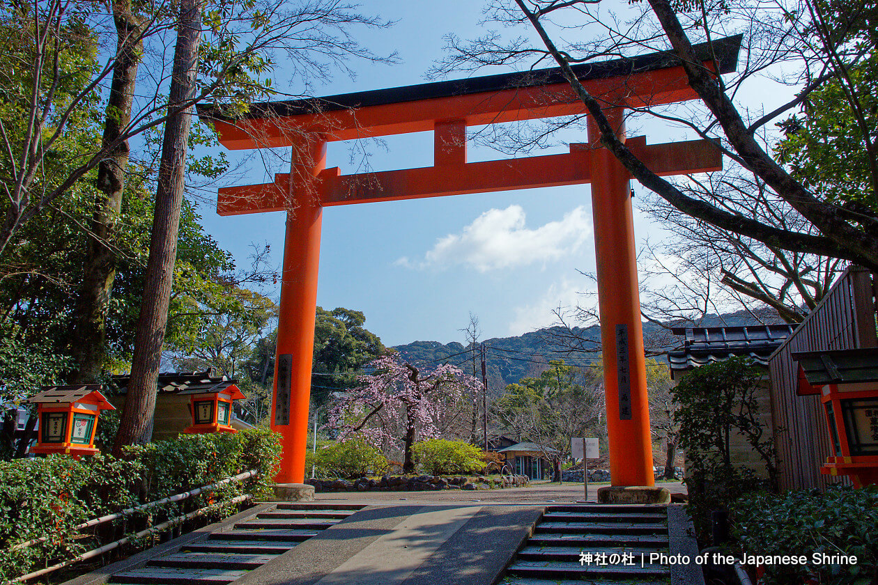 円山公園