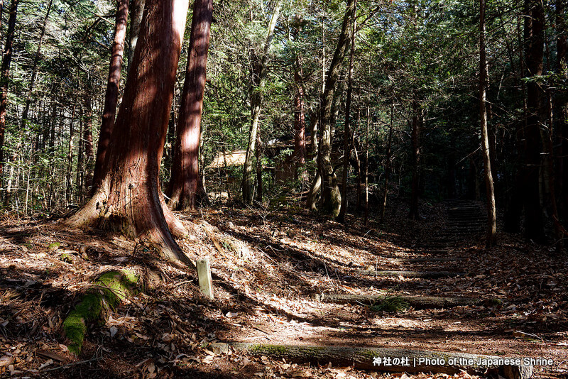 山宮の参道２