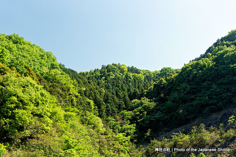 山