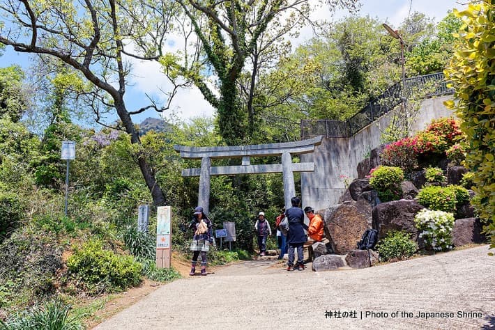 登山路