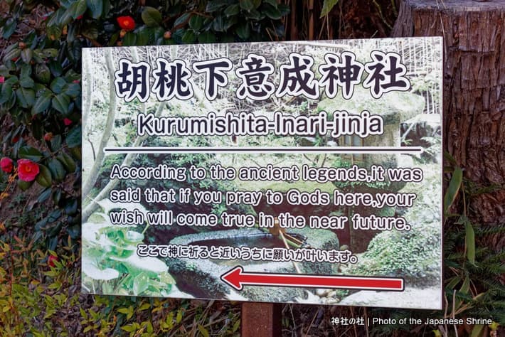 案内