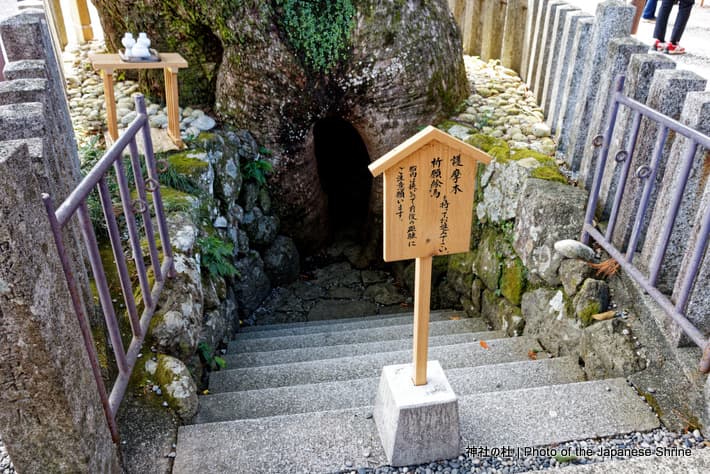 胎内くぐり