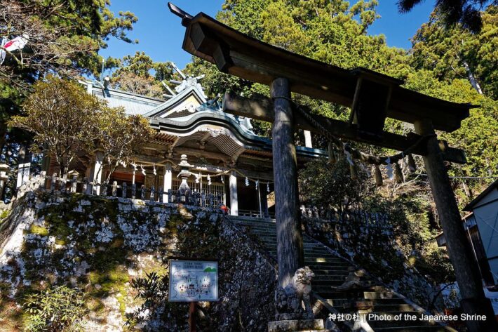 玉置神社